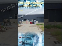 Panel de almacenamiento en frío de 100 mm de espesor para construir almacenamiento en frío